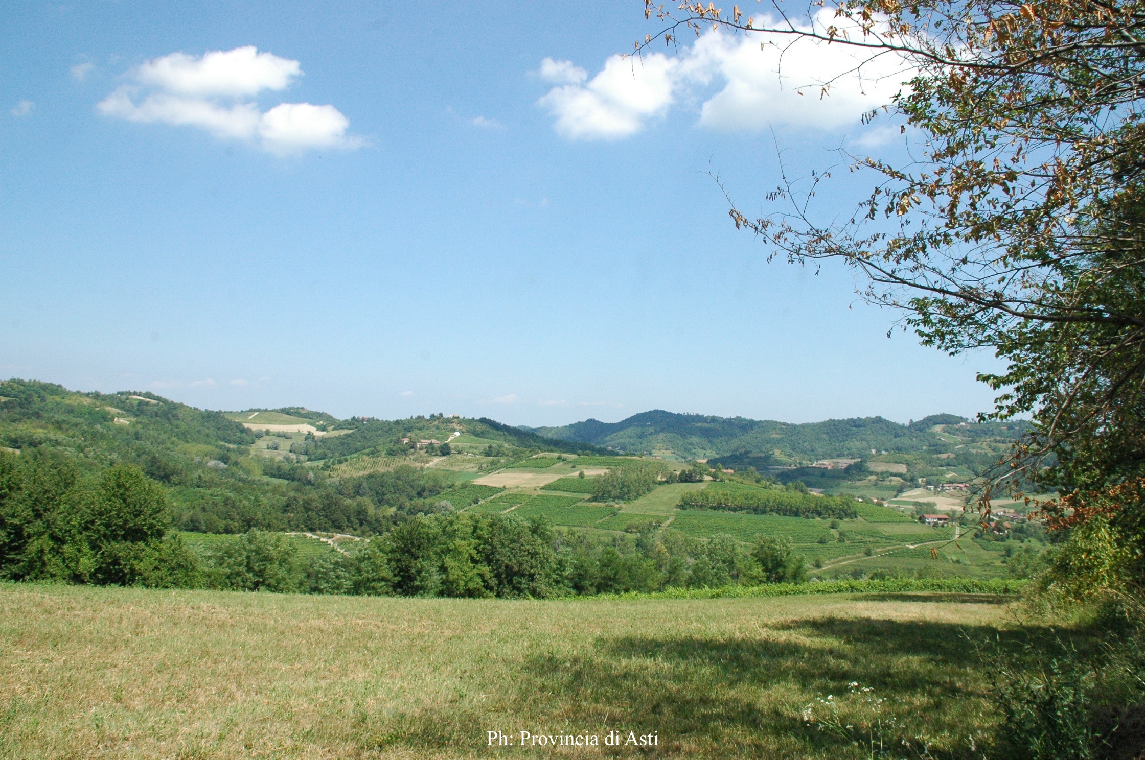 Paesaggio (12)