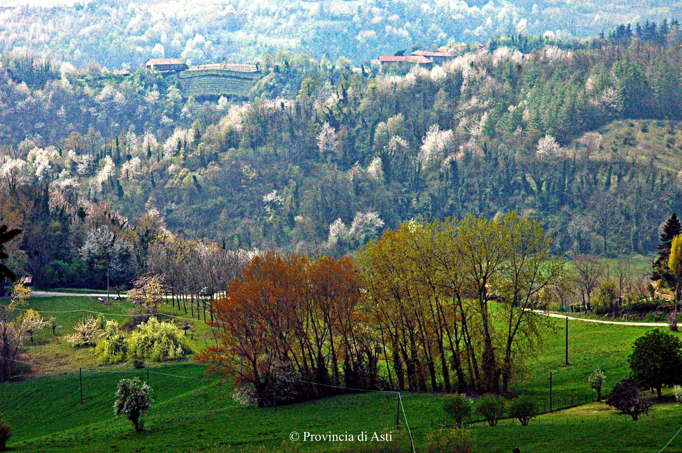 Paesaggio (9)