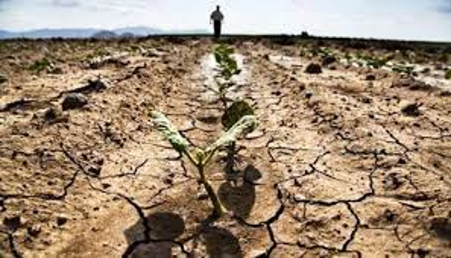 Danni all'agricoltura per la siccità 2022 - Richiesta Danni