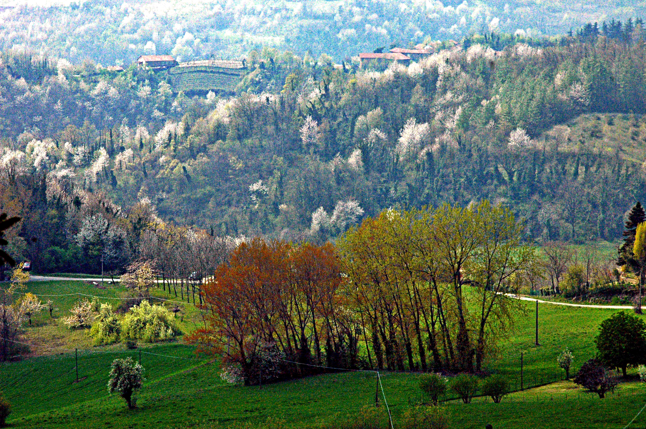 Albugnano_2
