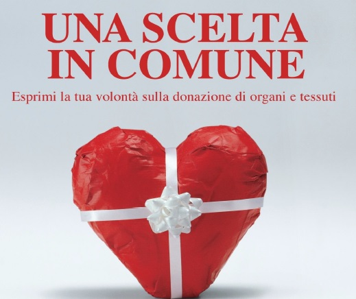Immagine2