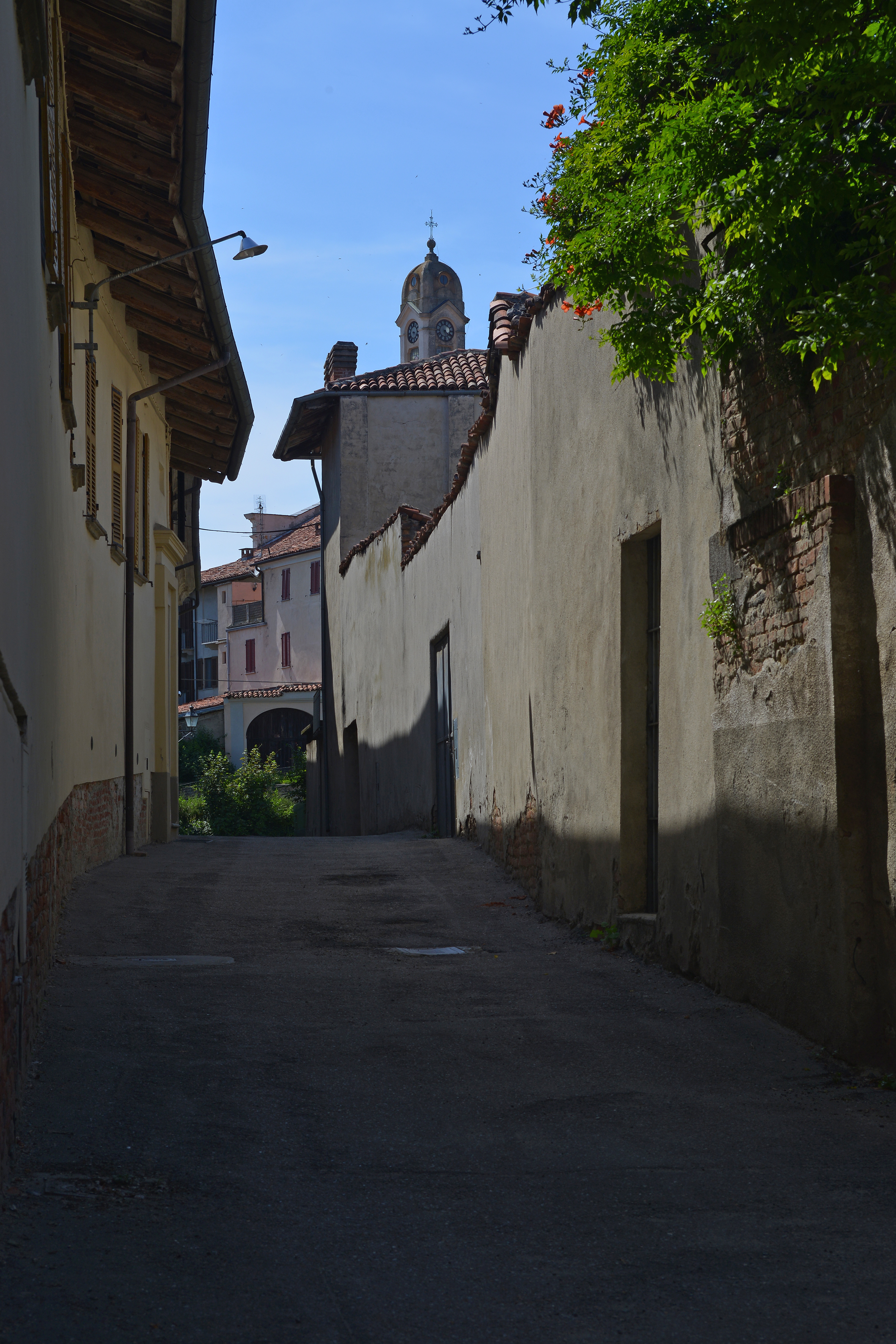 DSC_7146R